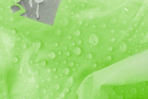 bp01 (10).jpg