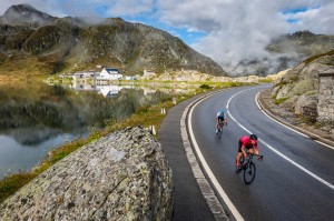 Damska Koszulka Rowerowa Endura Paisley S S Borówkowa E6213PB p10.webp