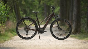 Rower Cube Touring Hybrid Pro 625 Trapeze cinnamon'n'orange 2025 p7.webp