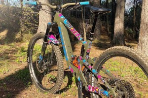 Naklejki ochronne AMS - EXTRA - Freeride Fiesta 2023 p4.webp