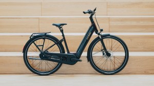 Rower Cube Supreme Hybrid Comfort Pro 600 solareclipse'n'gold 2026 p8.webp