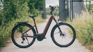 Rower Cube Kathmandu Hybrid Pro 800 Easy Entry sunglow'n'chrome 2026 p7.webp