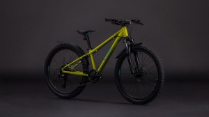 Rower Cube Acid 240 FE lizard'n'blue 2026 p2.webp