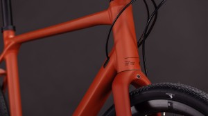 Rower Cube Nulane Race amber'n'black 2026 p7.webp