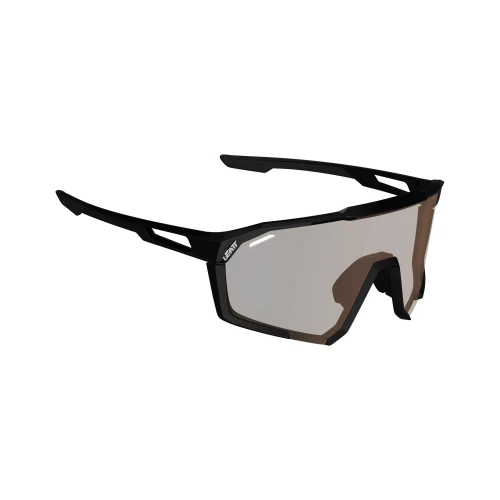 Okulary Leatt Sunglasses SpeedViz Pro Iriz Satin Black (Silver 30%)