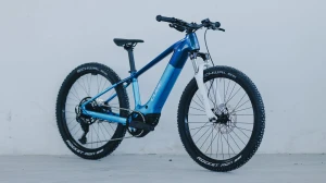 Rower Cube Acid 240 Hybrid Rookie Pro 400 actionteam 2026-7.webp