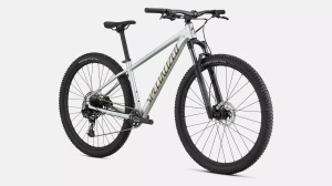 Specialized ROCKHOPPER-EXPERT-GLOSS-SILVER-DUST-SATIN-BURNT-GOLD-METALLIC_FDSQ.webp