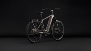Rower Cube Kathmandu Hybrid ONE 800 cedar'n'chrome 2027 p8.webp