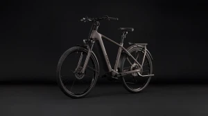 Rower Cube Kathmandu Hybrid ONE 800 cedar'n'chrome 2027 p9.webp