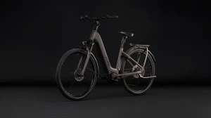 Rower Cube Kathmandu Hybrid ONE 800 Easy Entry cedar'n'chrome 2027 p9.webp