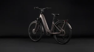 Rower Cube Kathmandu Hybrid ONE 800 Easy Entry cedar'n'chrome 2027 p10.webp