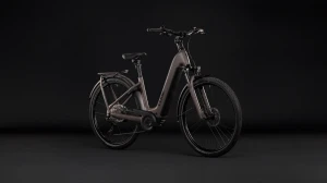Rower Cube Kathmandu Hybrid ONE 800 Easy Entry cedar'n'chrome 2027 p7.webp