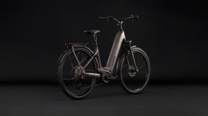 Rower Cube Kathmandu Hybrid ONE 800 Easy Entry cedar'n'chrome 2027 p8.webp