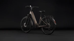 Rower Cube Touring Hybrid Pro 800 Easy Entry metallicumbra'n'black 2027 p5.webp
