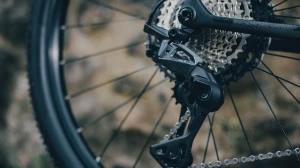 Rower Cube Reaction C62 Pro Blackline 2027 p12.webp
