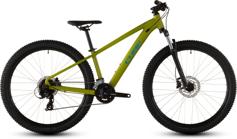 Rower Cube Acid 260 lizard'n'blue 2027.webp