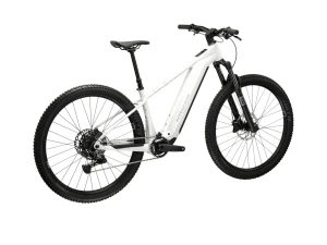 Rower Kross Dust Boost 1.0 800 Wh p3.webp
