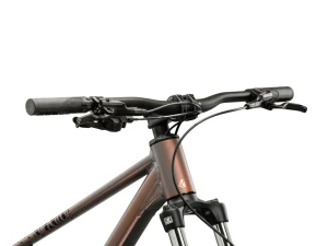 Rower Kross Level X100 szary brązowy 2026 p4.webp