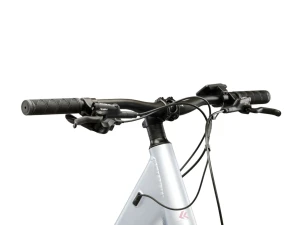 Rower Kross Solar Boost 1.0 522 srebrny różowy 2026 p4.webp