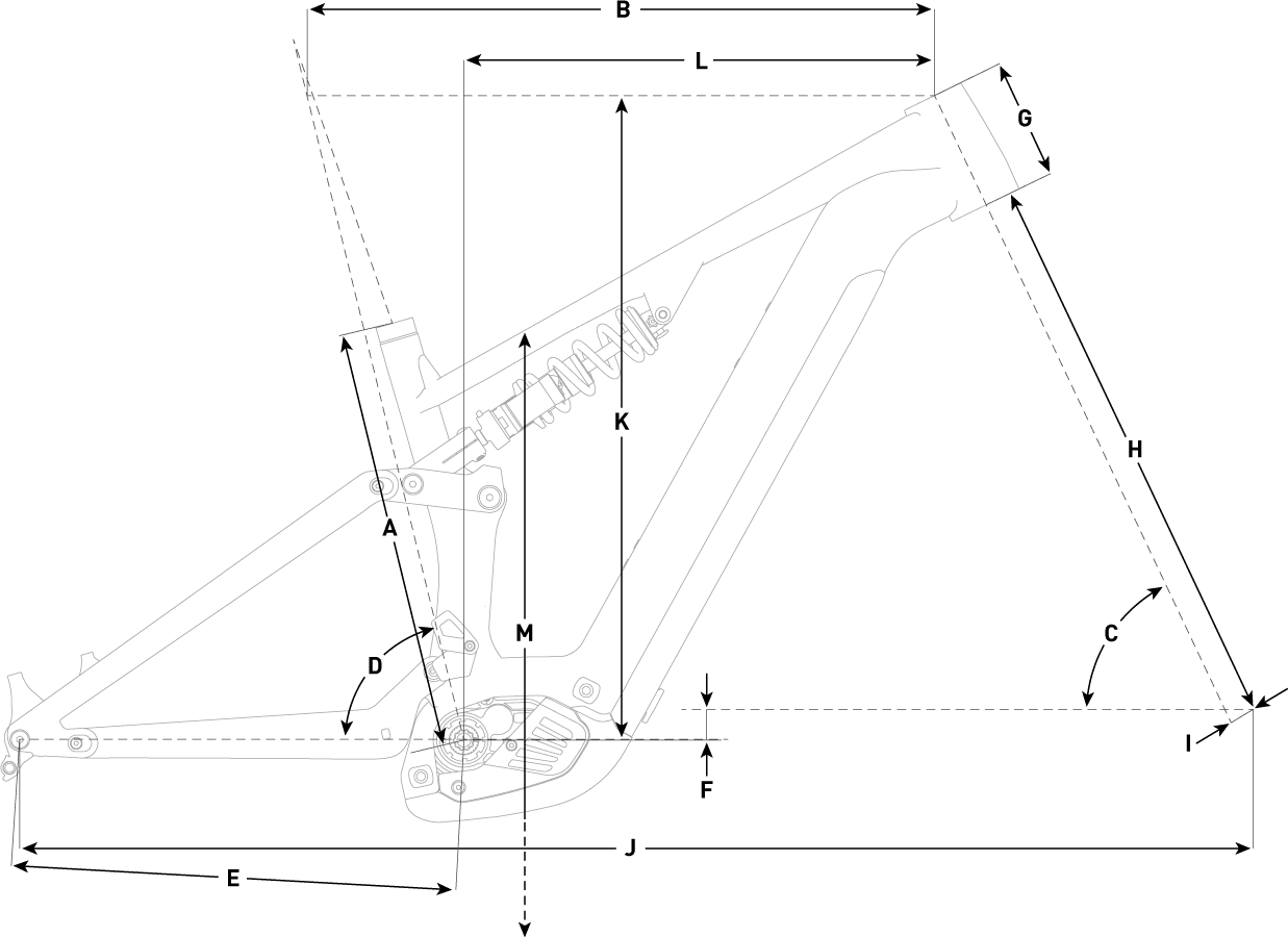 Geometria Roweru Focus Sam