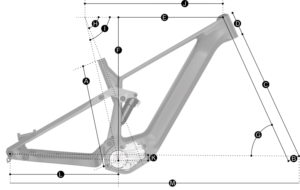 Geometria obraz Rower Tosa Mate